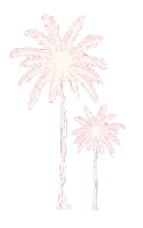 INSPIRATION INSPIRATION